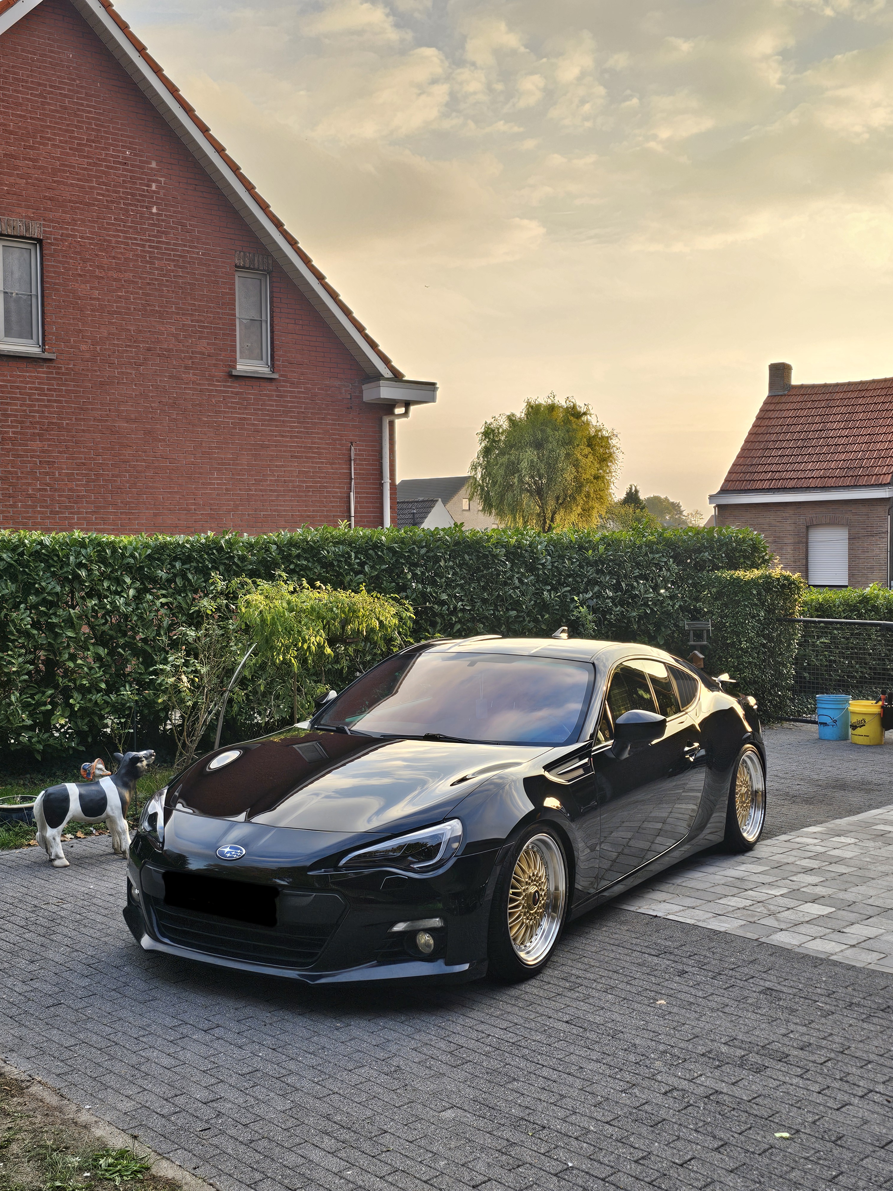 Mercedes Velgen Treatment